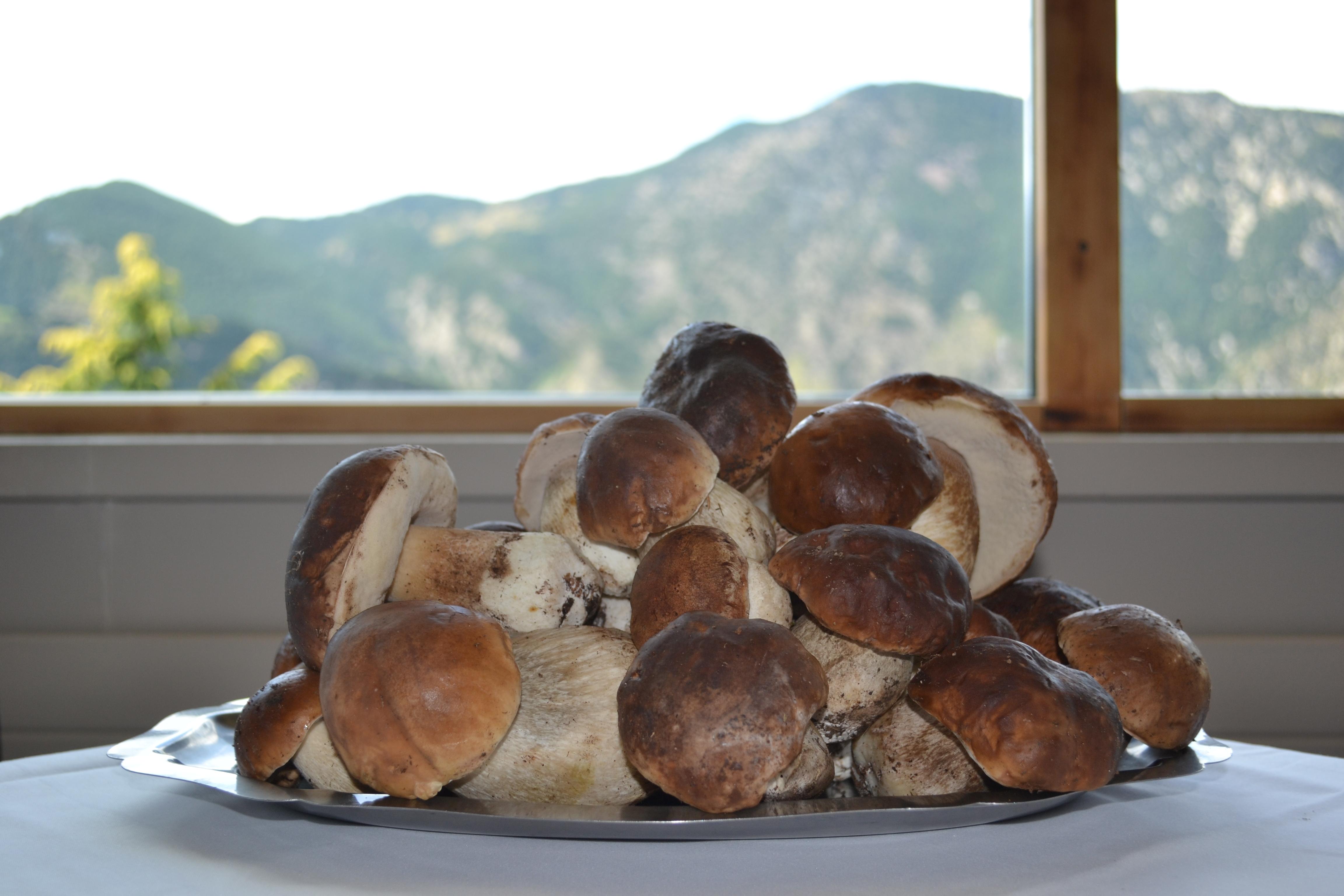 Coma Bella Hotel Sant Julià de Lòria Kültér fotó